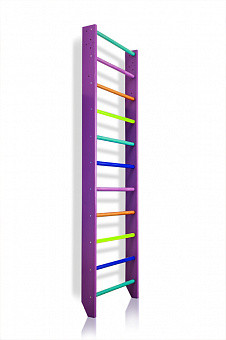 Шведська стінка — 0-220 (purple), (SportBaby)
