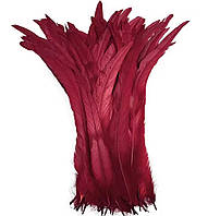 Перо півня, ширина 2,5 см, колір Burgundy, 1 шт.