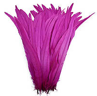Перо півень (виберіть довжину), ширина 2,5 см, колір Fuchsia, 1 шт.