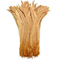 Перо півня, довжина 25 см, ширина 2,5 см, колір Beige, 1 шт.