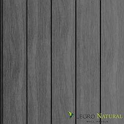 Фасадна дошка Legro Ultra Naturale FS 21