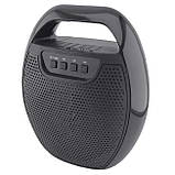 Портативна колонка ESS-209A (27х23х12см, USB, microSD, Bluetooth, FM) Black, фото 3