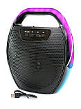 Портативна колонка ESS-209A (27х23х12см, USB, microSD, Bluetooth, FM) Black, фото 4