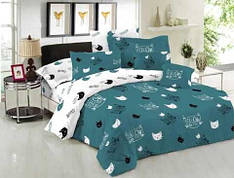 Комплект постільної білизни полуторний дитячий  100% Бавовна 150х220 см (Bld-47)