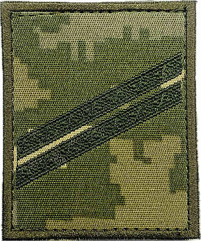 Нашивка курсівка 2 курс навчальних закладів ЗСУ (загальновійськова) ПІКСЕЛЬ