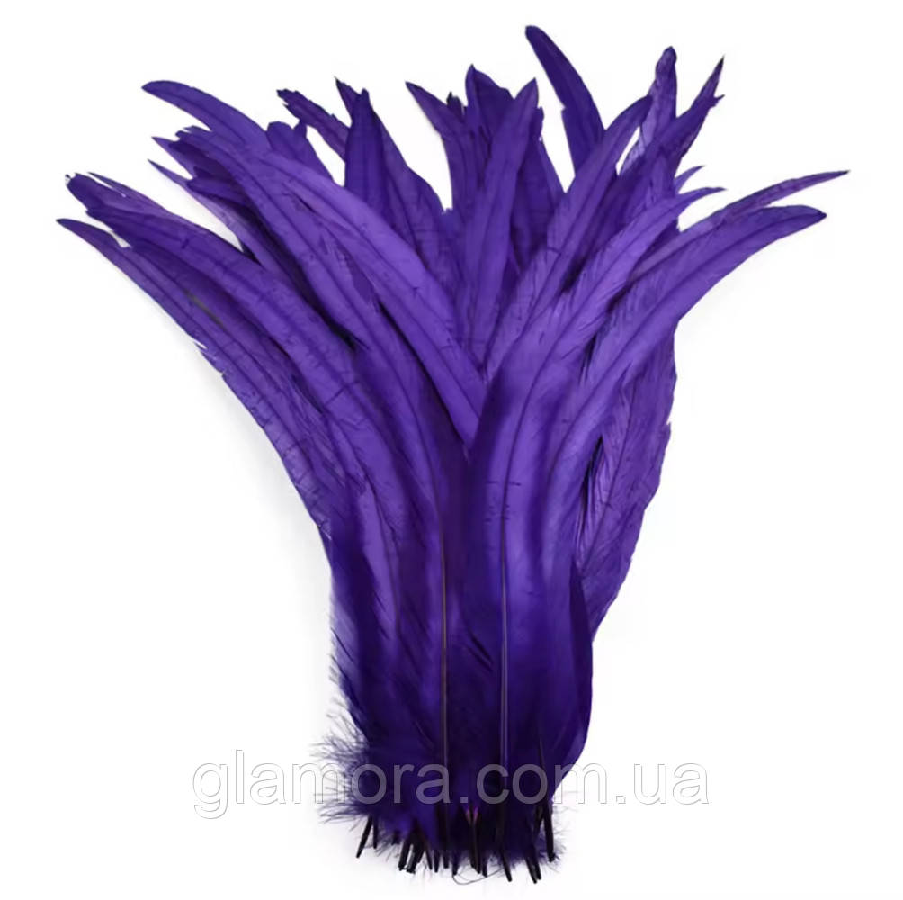Перо півня (виберіть довжину), ширина 2,5 см, колір Purple, 1 шт.
