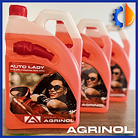 Рідина для склоочисника Агрінол Auto Lady 4 л, Грепфрут, Омивач для скла автомобіля літній Agrinol