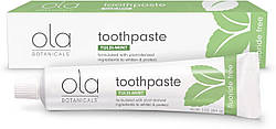 Зубна паста без фториду, Toothpaste, Dr. Mercola, освіжна, м'ятна, з тулсі, 85 г
