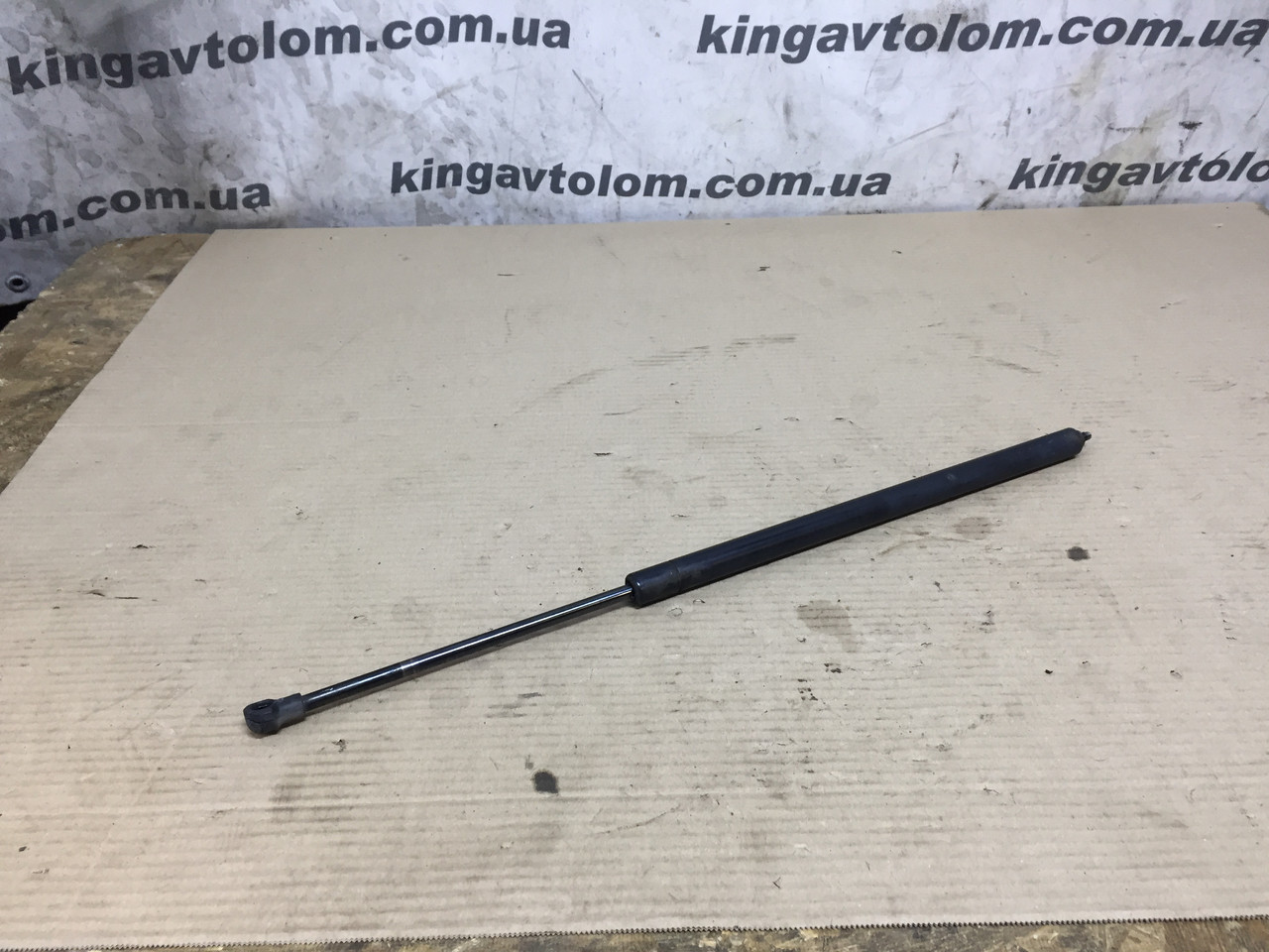 Амортизатор скла кришки багажника BMW X5 E53 51248402405, фото 1