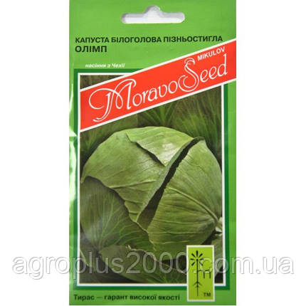 Насіння Капуста білочана пізній Олімп 0,2 грама Moravoseeds, фото 1