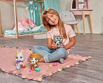 Pamper petz