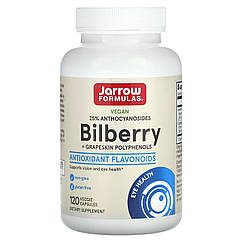 Чорниця для зору з виноградом, Bilberry, Jarrow Formula, 120 капсул