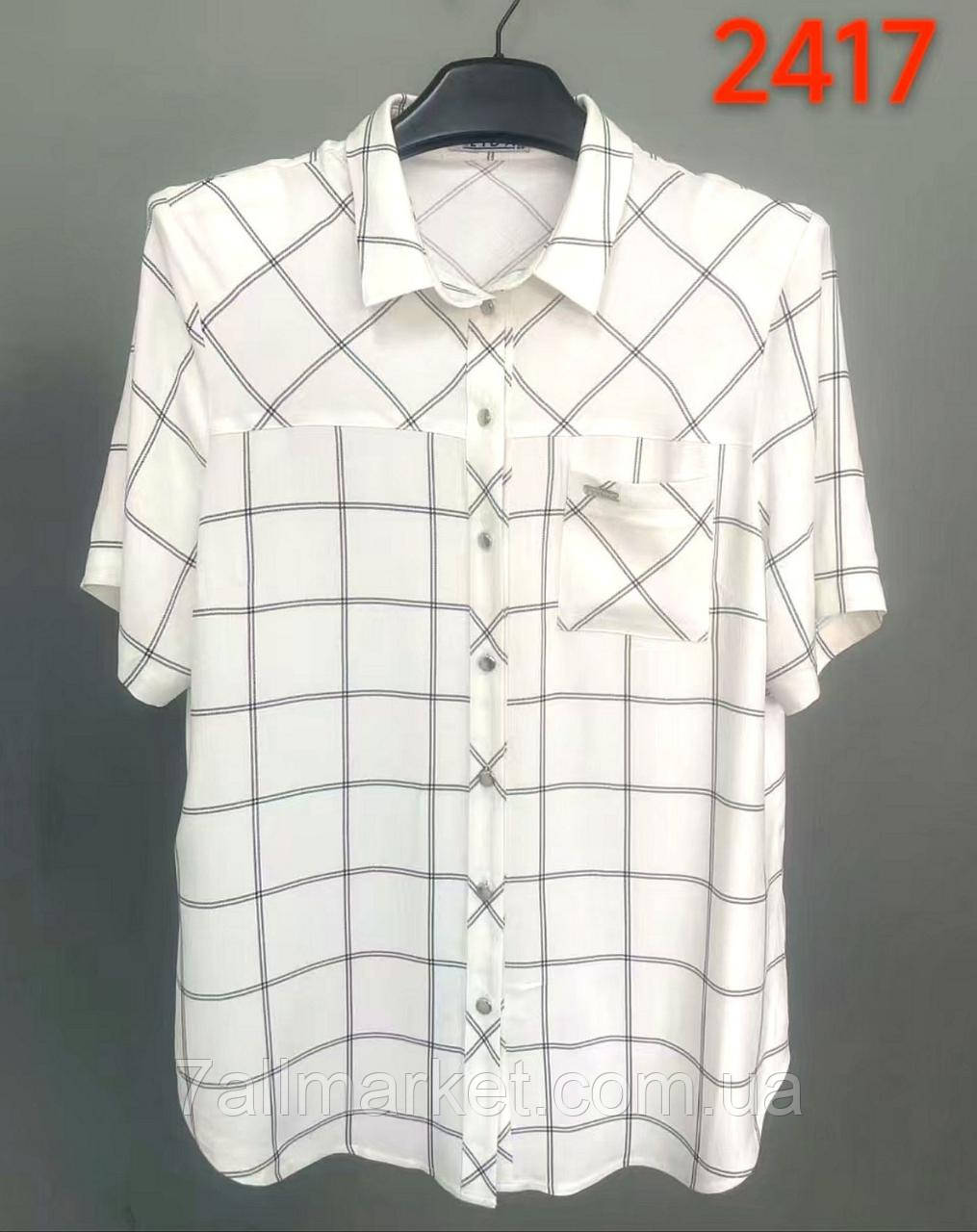 Блузка жіноча стильна, розміри 52-62 "LIDA" купити недорого від прямого постачальника