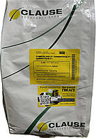 Кукурудза біколорна Камберленд F1 (5000 шт)