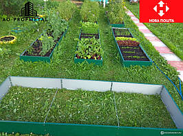 Грядка 3000*1000 зеленого кольору, Зелена грядка, Гарбуз зелений із розпіркою.