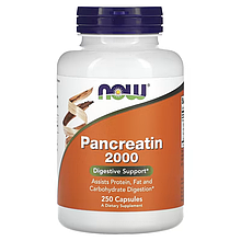 Панкреатин, Pancreatin 2000, Now Foods, 2000 мг, 250 капсул