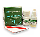 Dengocem 9, набір: 15 г + 10 мл склоіономерний реставраційний цемент (Dengen Dental), фото 2
