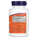 Альфа-ліпоєва кислота, Alpha Lipoic Acid, Now Foods, 250 мг, 120 вегетаріанських капсул, фото 2