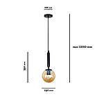 Підвісний світильник 9992015F-1 BK+BR, фото 2