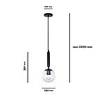 Декоративний підвіс на одну лампочку 9992015F-1 BK+CL, фото 2