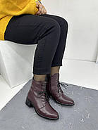 Жіночі черевики Berloni 224 бордова шкіра на шнурівці 37, фото 2