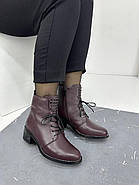 Жіночі черевики Berloni 224 бордова шкіра на шнурівці 37, фото 3