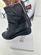 Черевики жіночі Battine B663 демісезонні шкіряні на танкетці 37, фото 6
