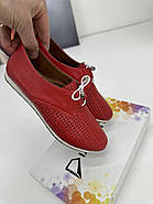 Мокасини жіночі Aras Shoes K-19-kirmizi шкіряні червоні на шнурівці 37, фото 6