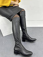 Чоботи ботфорти жіночі Andri-Anna A107 чорні шкіряні 36, фото 2