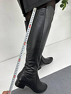 Чоботи ботфорти жіночі Andri-Anna A107 чорні шкіряні 36, фото 3