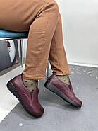 Туфлі жіночі MeegoComfort A22190 Violet бордові 36, фото 2