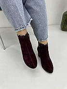 Ботильони жіночі Battine B0409 бордова замша на каблуці 37, фото 3