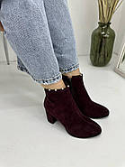 Ботильони жіночі Battine B0409 бордова замша на каблуці 37, фото 4