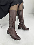 Чоботи жіночі Sanborina М1419 шкіряне хутро до верху 36, фото 2