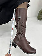 Чоботи жіночі Sanborina М1419 шкіряне хутро до верху 36, фото 4