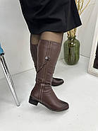 Чоботи жіночі Sanborina М1419 шкіряне хутро до верху 36, фото 6