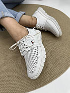 Кросівки жіночі Doren 20115-007-beyaz шкіряні білі 36, фото 3