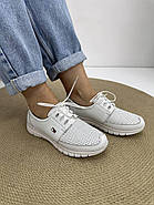 Кросівки жіночі Doren 20115-007-beyaz шкіряні білі 36, фото 5