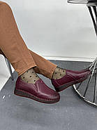 Туфлі жіночі MeegoComfort A5331 Bordo (Violet) бордові 36, фото 3