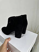 Ботильйони жіночі Battine B444 замшеві на середньому підборі 37, фото 6