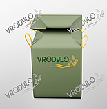 Біг бег 4 стропи, зверху фартух, дно глухе, фото 2