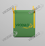 Біг бег 4 стропи, відкрита горловина, дно глухе, фото 2