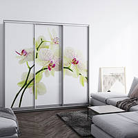 Шафи купе тридверні