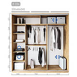 Шафа купе — моделі завдовжки 221-230 см, фото 5