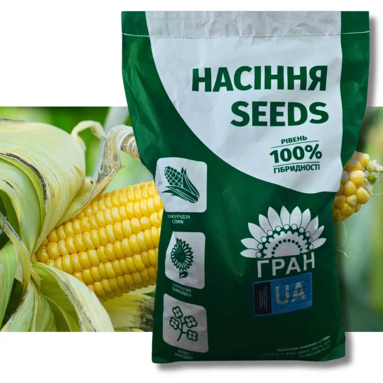 Насіння кукурудзи середньостиглий гібрид ОНІКС ФАО 350 НК "Гран" 2024 рік