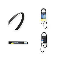 Ремінь генератора Renault Trafic, Opel Vivaro 1.9DCI (2001-) струмковий (5PK1125) MICHELIN