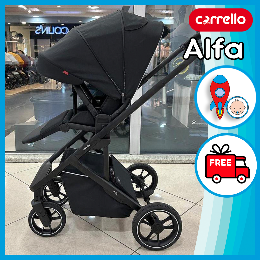 Прогулянкова коляска дитяча Carrello Alfa CRL-5508 BF