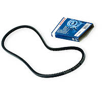 Ремінь клиновий 10x1013 Volkswagen, Opel, Fiat T4 2.4D (BOSCH)
