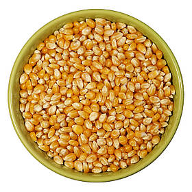 Насіння кукурудзи для попкорну, 1 кг