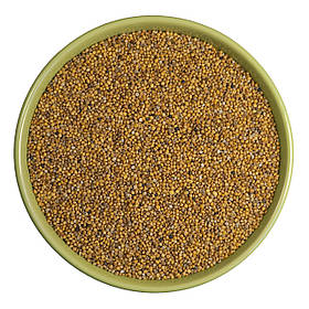 Гірчиця жовта, масляна зерно 1 кг